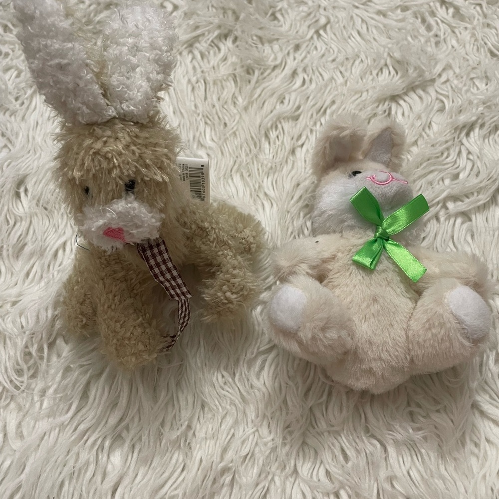 Adorable Plush Bunny Set